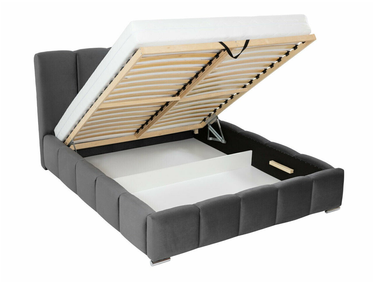 Pat TrendyNest Alceus I (Kronos 29)