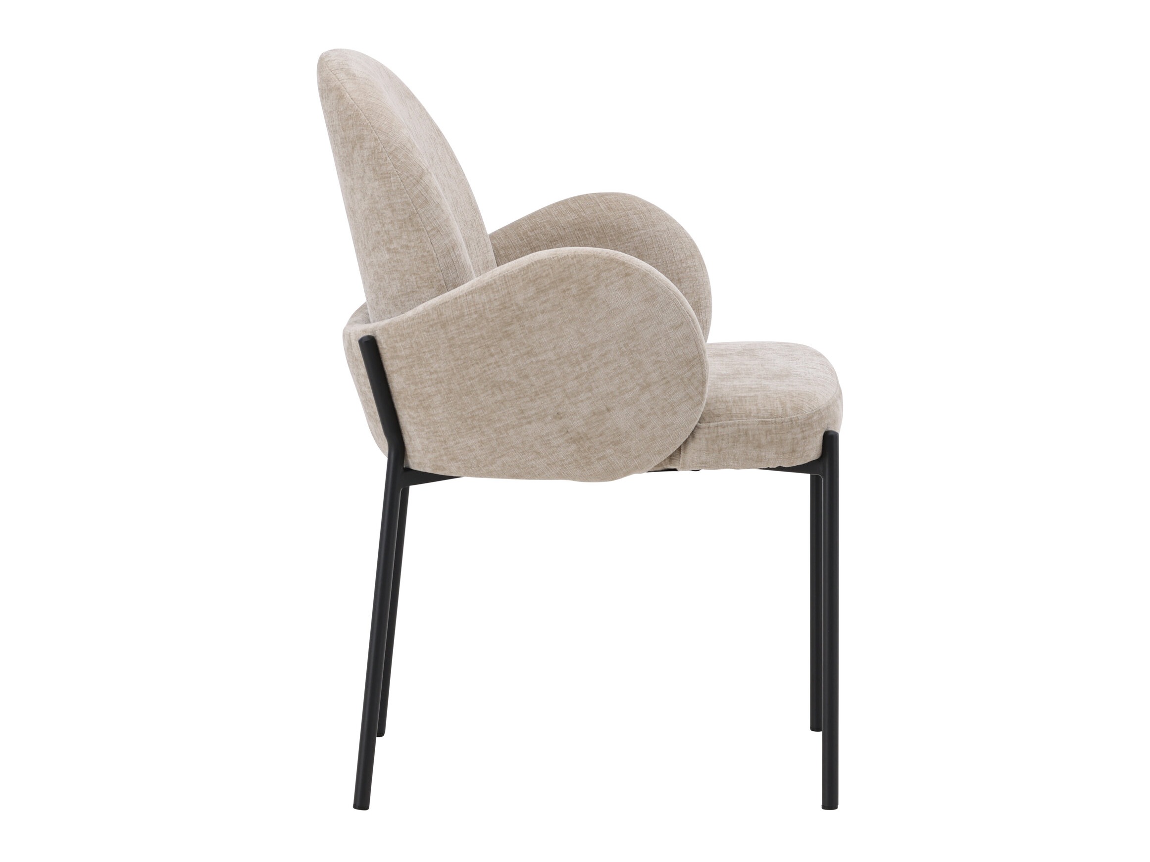 Scaun Dallas 4882
