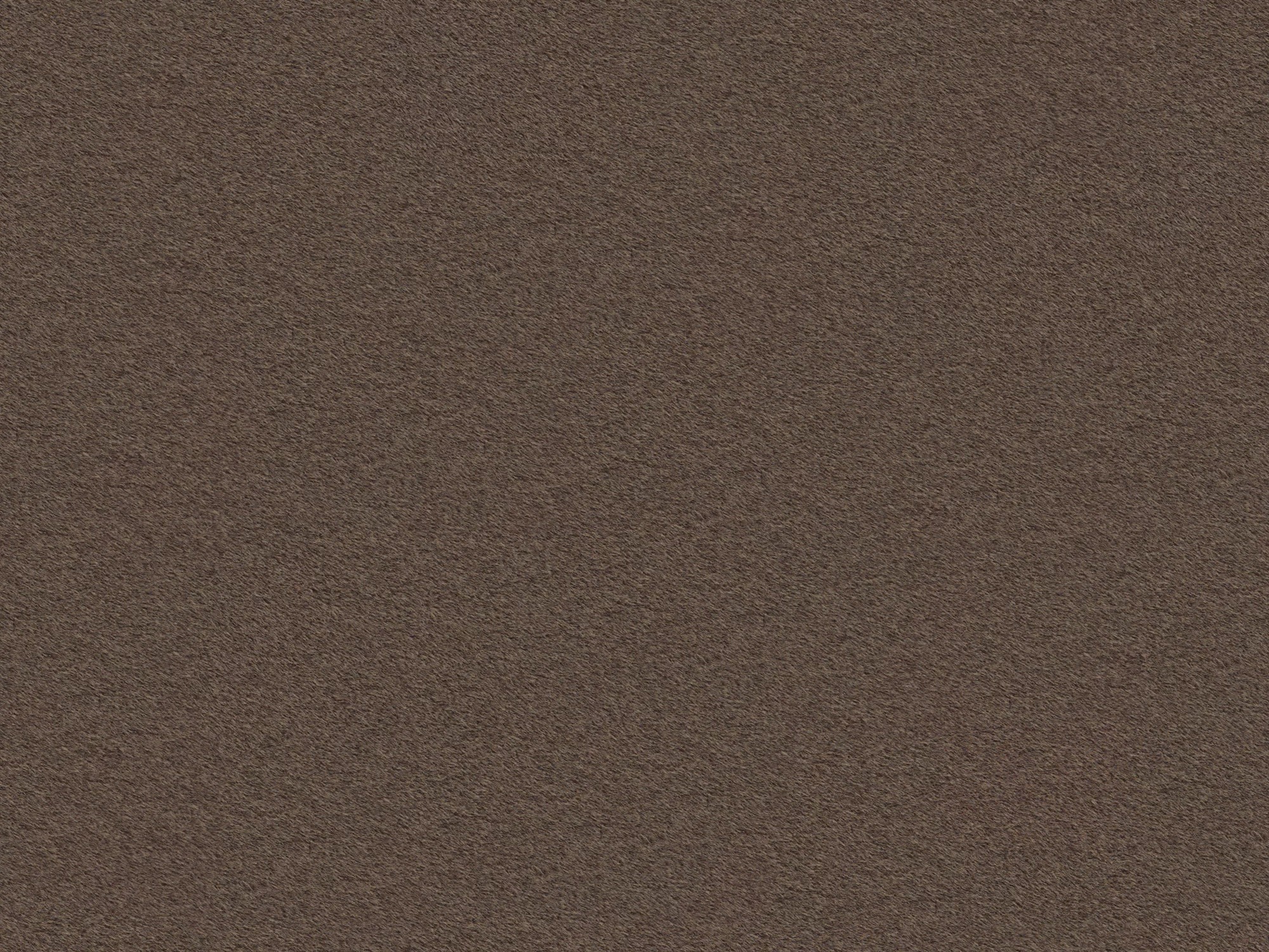Pat Levseve 111